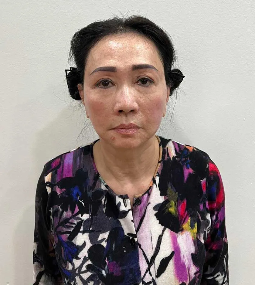 Bắt Chủ tịch Công ty cổ phần Tập đoàn Vạn Thịnh Phát ảnh 2