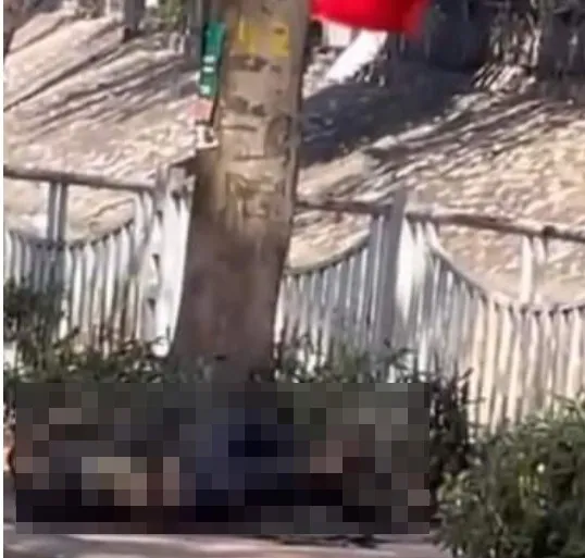 Hiện trường vụ việc