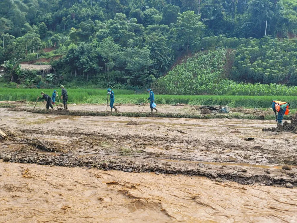 z5823469903374_49c073f553a7359adcf41871b7237c7f (1).jpg