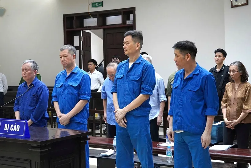 tong-cty-xi-mang.jpg