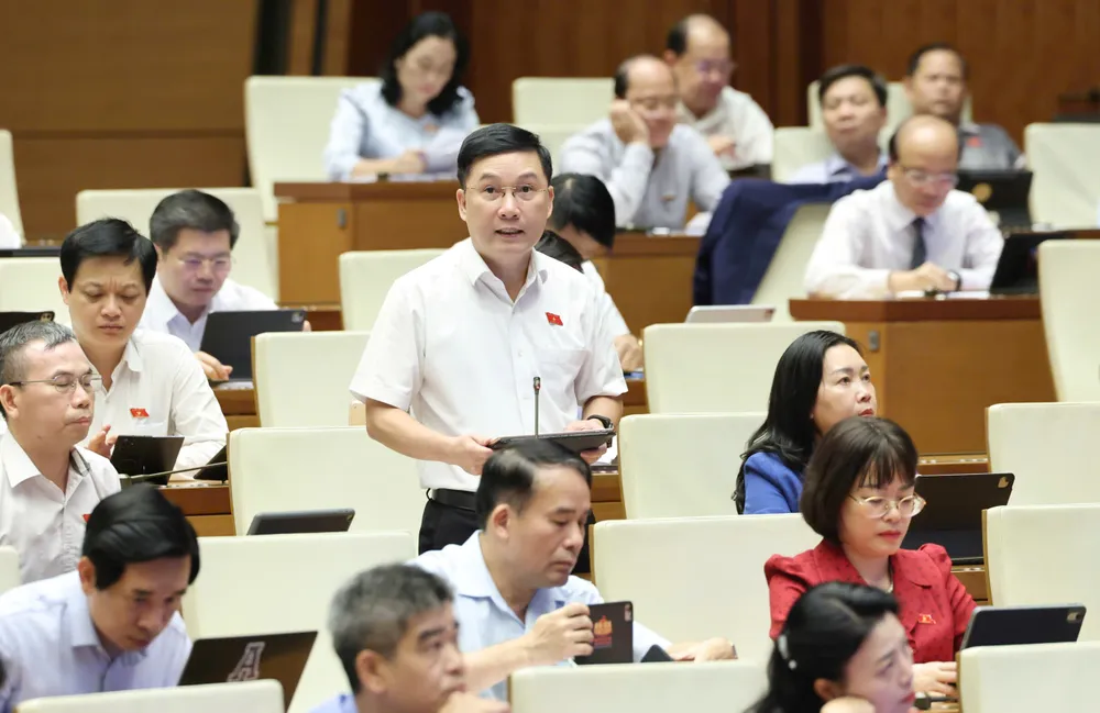 Lê Hoàng Anh.jpg