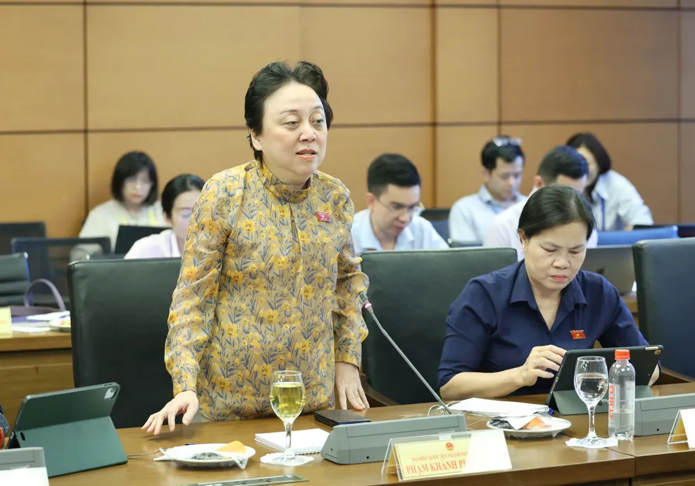 ĐB Phạm Khánh Phong Lan.jpg