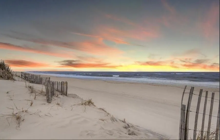 Radwanska theo chồng về dinh ảnh 5