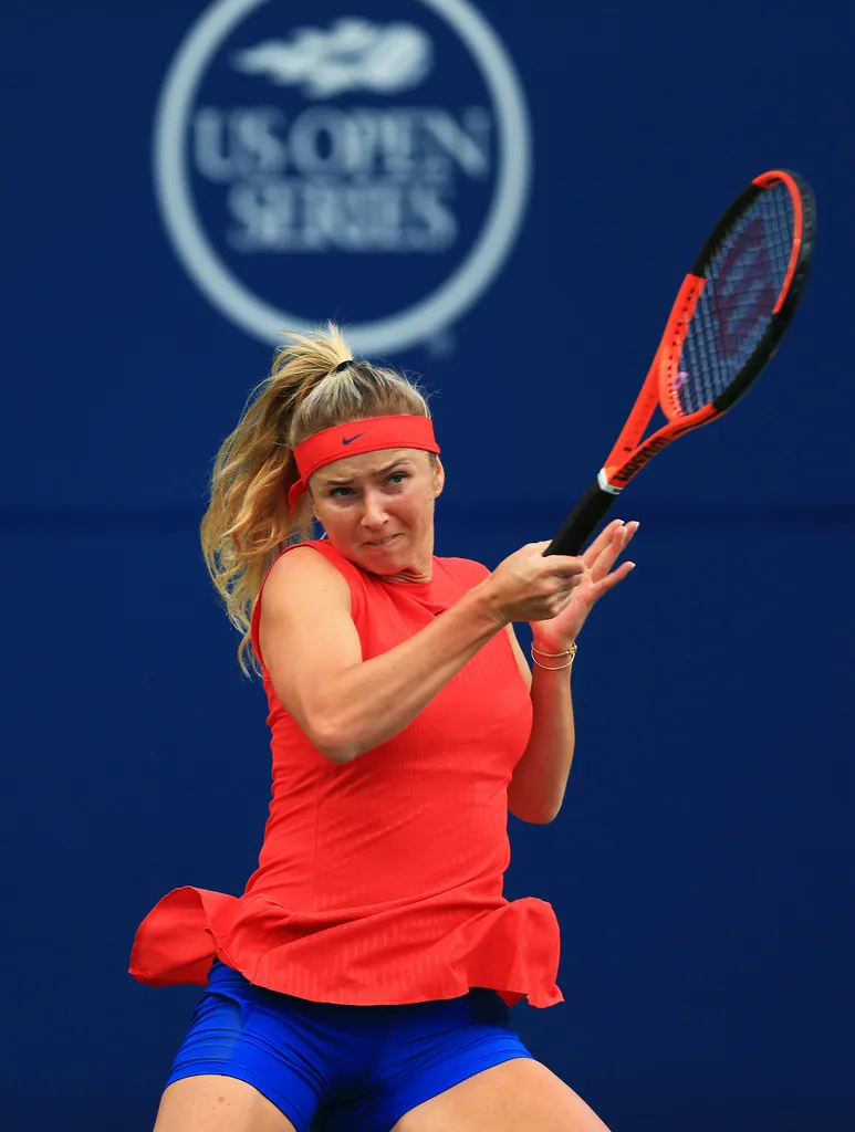 Lần thứ 17 liên tiếp, Federer đánh bại Ferrer ảnh 1