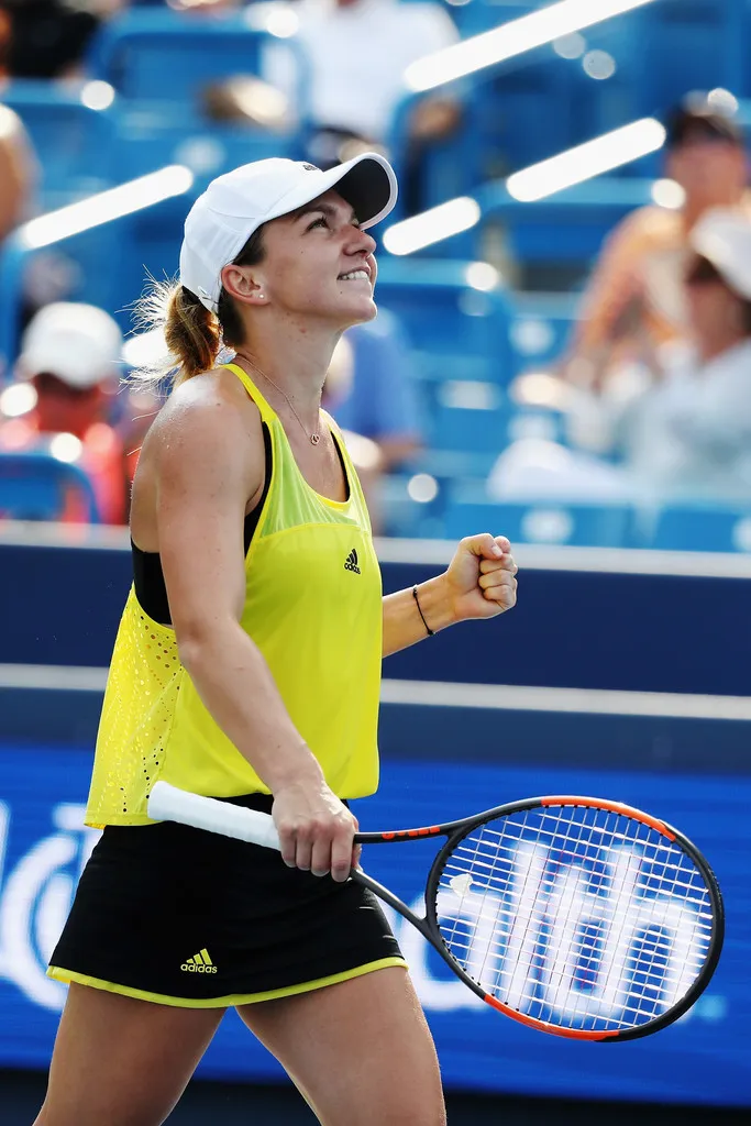 Tối nay 28-8 sẽ khai màn US Open 2017 ảnh 2