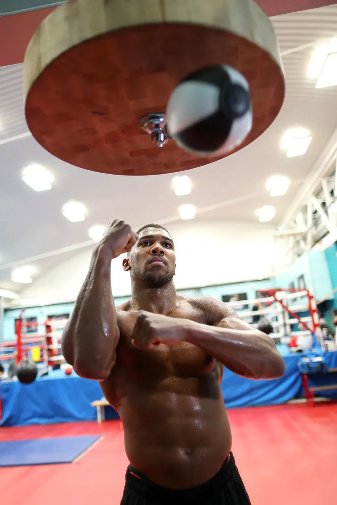 Joshua chỉ muốn đấu với Whyte ảnh 2