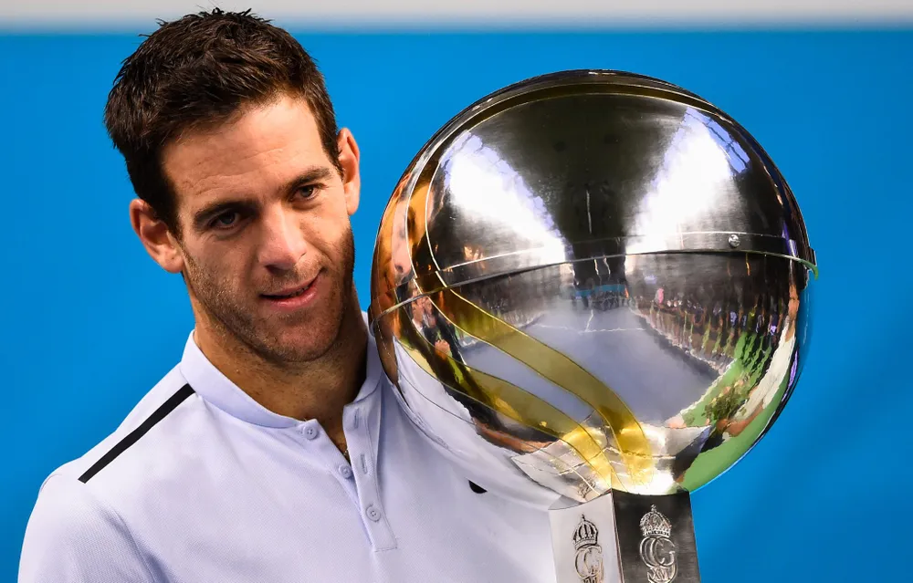Tsonga, Del Potro, Dzumhur đồng loạt lên ngôi ảnh 1
