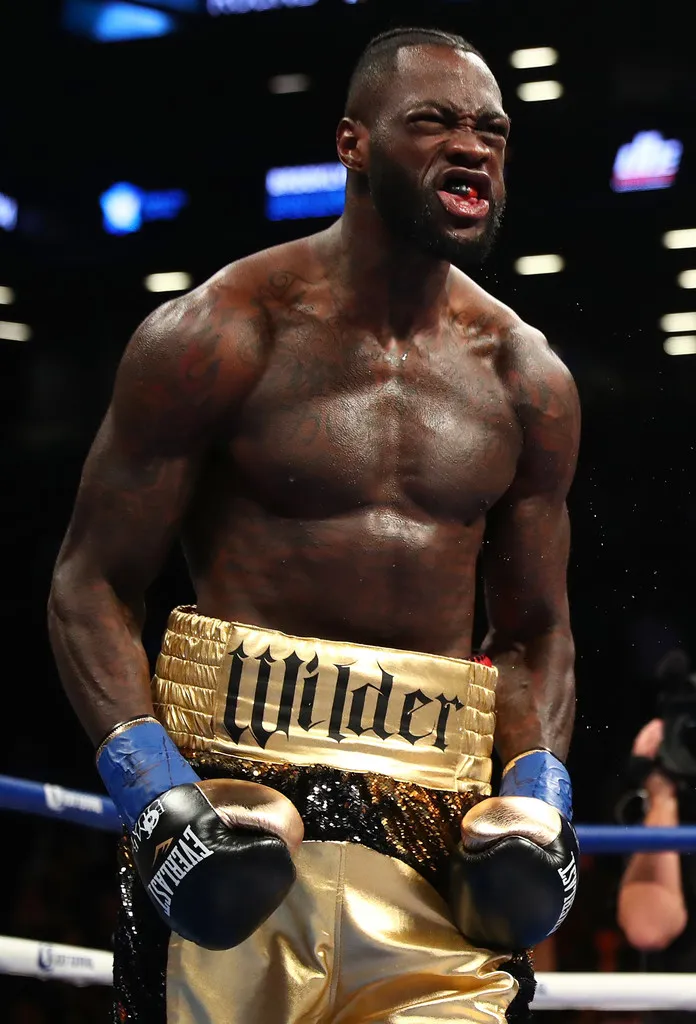 Wilder đấm gục Stiverne ngay trong hiệp đấu đầu tiên ảnh 1