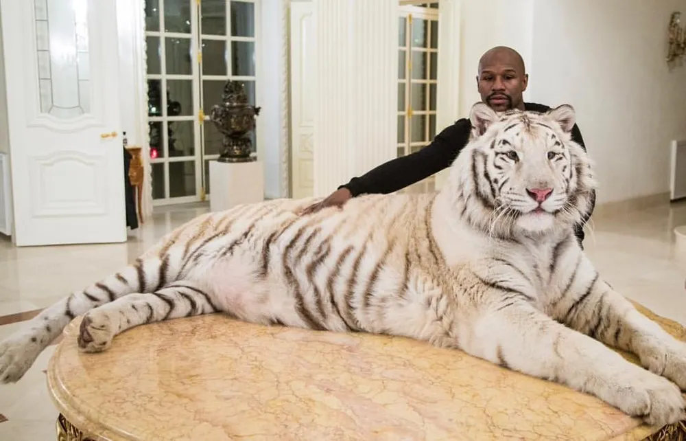 Quyền Anh: “Độc cô cầu bại” muốn nhập quốc tịch Nga ảnh 2