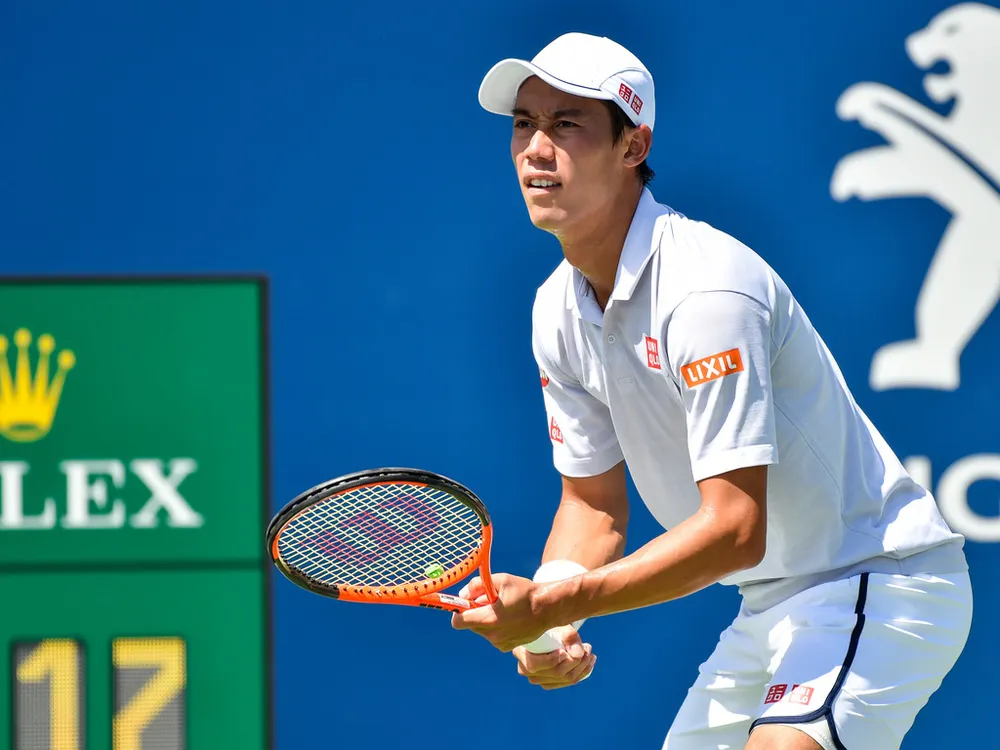 New York Open 2018: Harrison gọi Young là “tay vợt đen đúa”? ảnh 1
