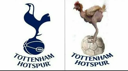 Góc tiếu ngạo: Juve quá “già giơ”, Tottenham vẫn còn “non và xanh lắm” ảnh 1