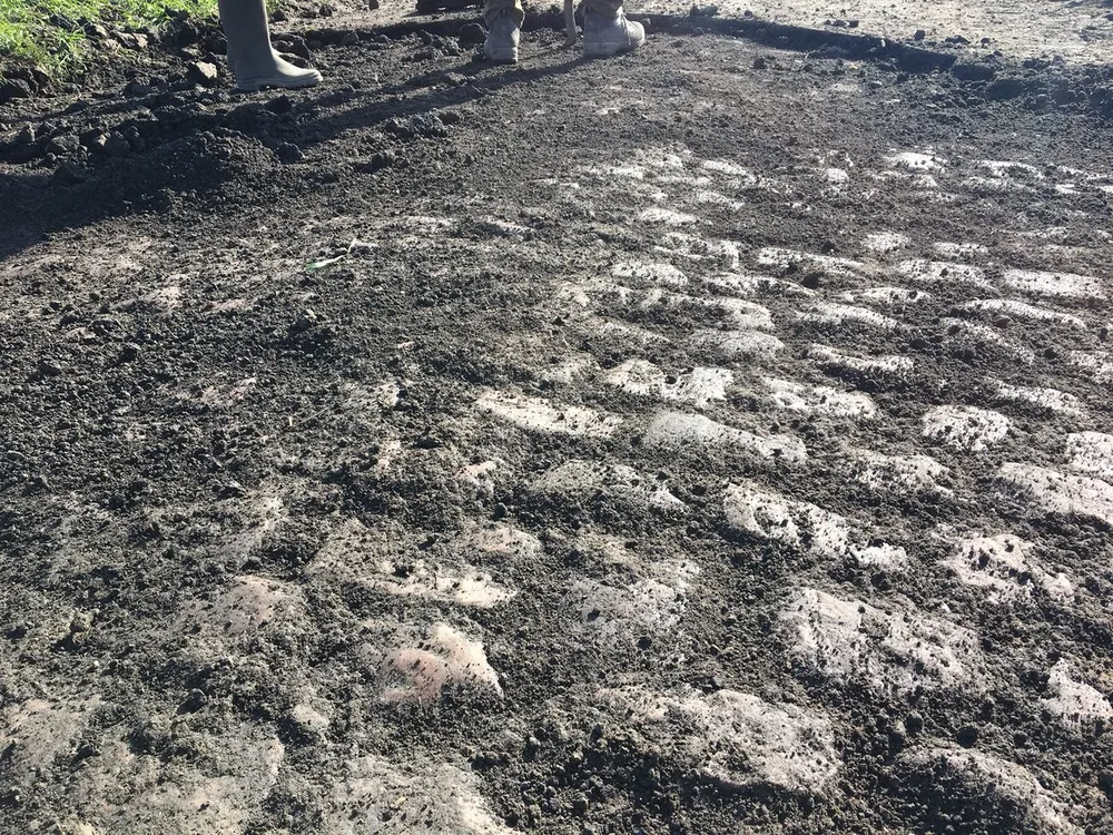 Xe đạp: Đường đua “địa ngục” ở Paris-Roubaix ngổn ngang như chiến trường ảnh 17