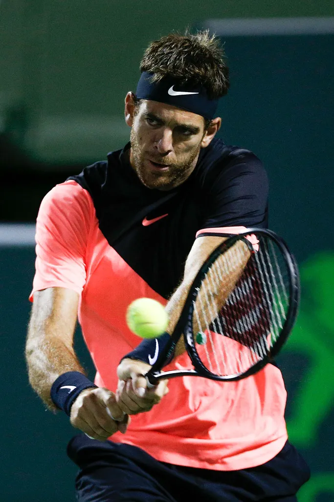 Miami Masters 2018: Hai Tòa tháp ảnh 1