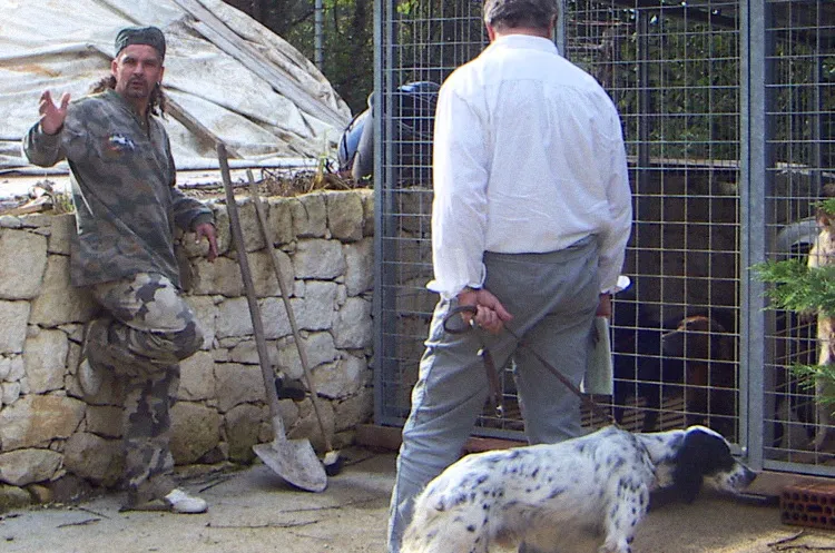 10 điều chưa biết về “Tóc đuôi ngựa thần thánh” Roberto Baggio ảnh 1