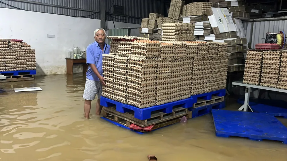 z6133524052272_25ba46d653cf2305a732b032023ac4c6 - Copy.jpg