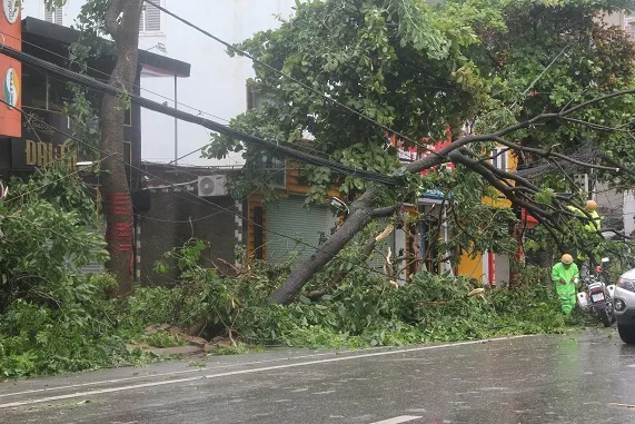 Hà Tĩnh, Nghệ An ngổn ngang sau bão ảnh 28