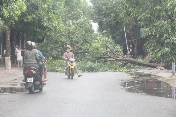 Hà Tĩnh, Nghệ An ngổn ngang sau bão ảnh 27