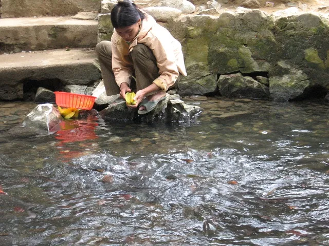 Những giai thoại bí ẩn về suối cá thần Cẩm Lương ảnh 7