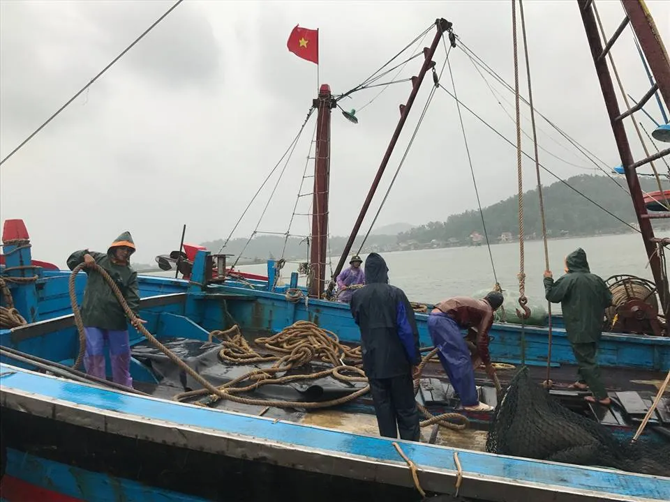Hàng ngàn tàu thuyền, hàng chục ngàn lao động trên biển có kịp vào bờ “chạy” bão? ảnh 6