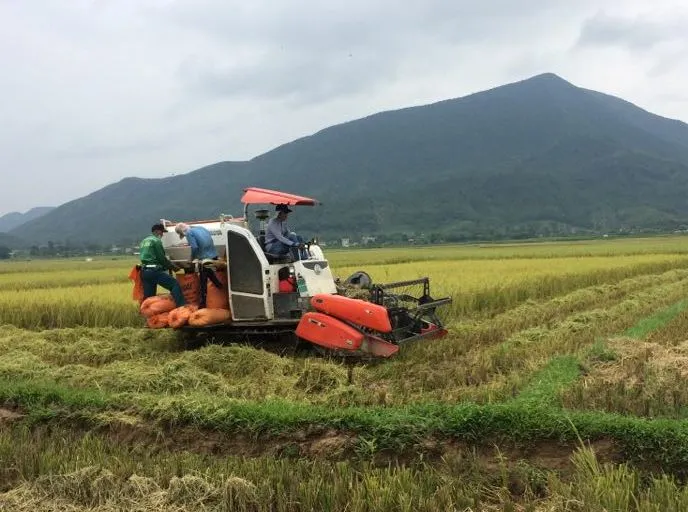 Hàng ngàn tàu thuyền, hàng chục ngàn lao động trên biển có kịp vào bờ “chạy” bão? ảnh 9