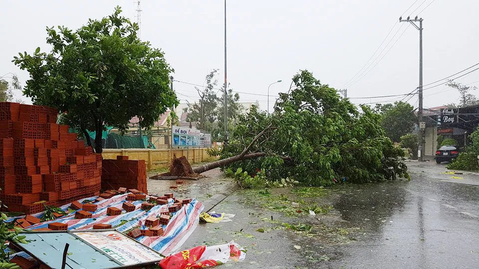 Bão hoành hành kinh hoàng, miền Trung ra sức chống chọi ảnh 17