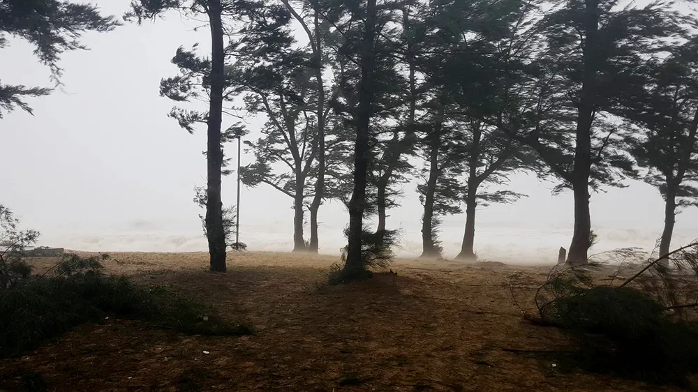 Bão hoành hành kinh hoàng, miền Trung ra sức chống chọi ảnh 29