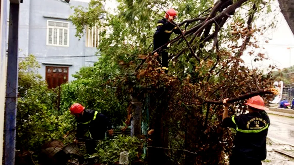 Bão hoành hành kinh hoàng, miền Trung ra sức chống chọi ảnh 37