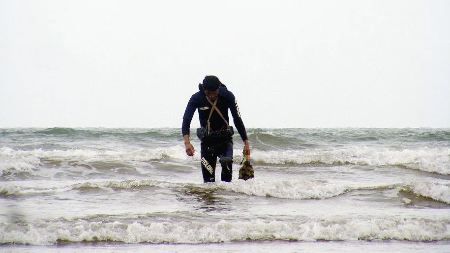 Kỳ thú nghề săn rum biển ảnh 6