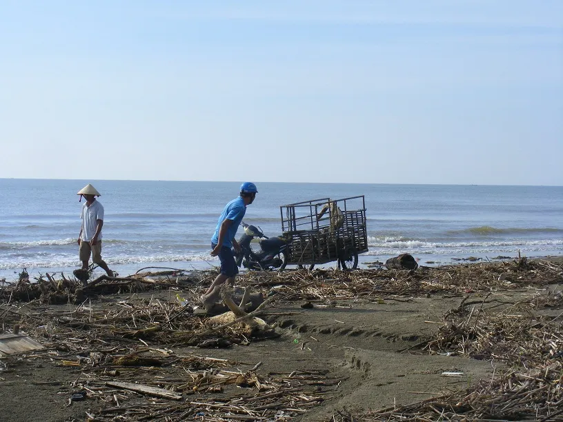 Kinh hoàng củi, rác ngập bãi biển Sầm Sơn tỉnh Thanh Hóa ảnh 2