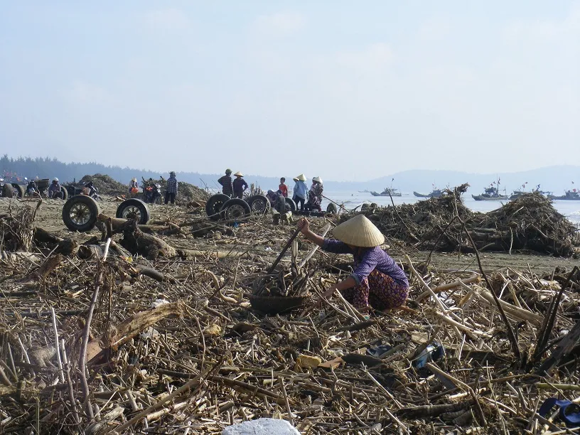 Kinh hoàng củi, rác ngập bãi biển Sầm Sơn tỉnh Thanh Hóa ảnh 5