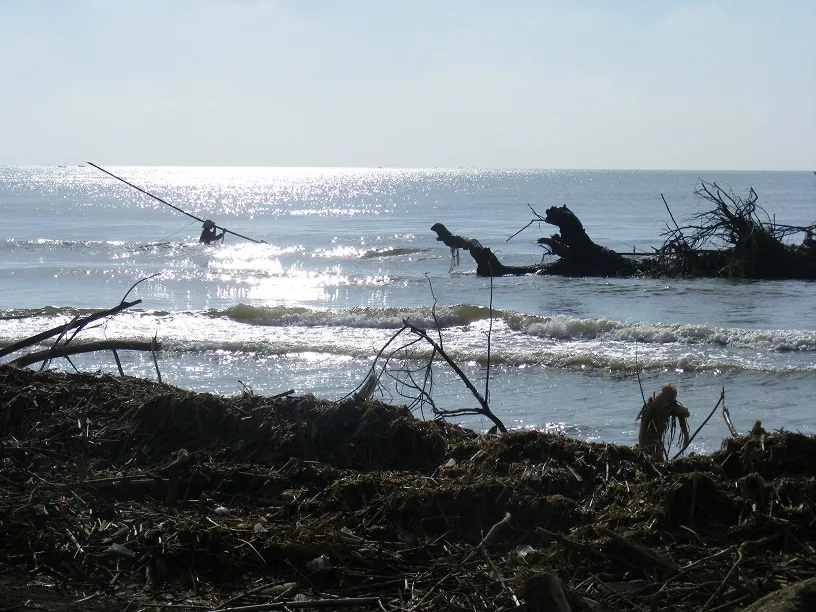 Kinh hoàng củi, rác ngập bãi biển Sầm Sơn tỉnh Thanh Hóa ảnh 6