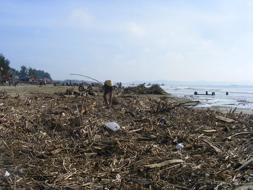 Kinh hoàng củi, rác ngập bãi biển Sầm Sơn tỉnh Thanh Hóa ảnh 7