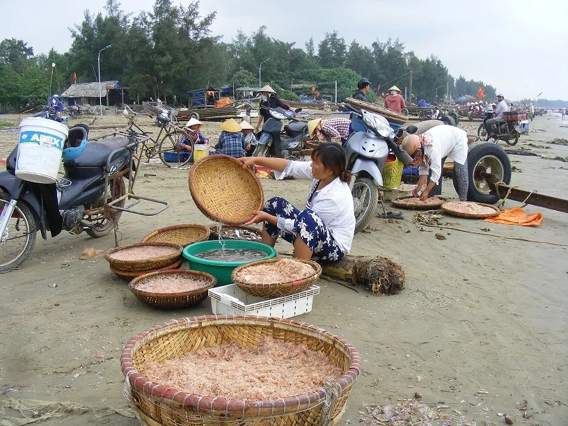 Vui như mùa “tép nhảy” ảnh 6
