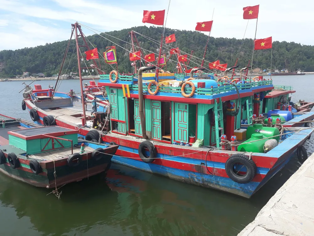  Tàu cá “phá” tàu hàng ảnh 2