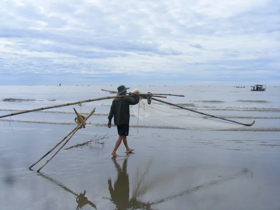 Được mùa ruốc biển ảnh 3