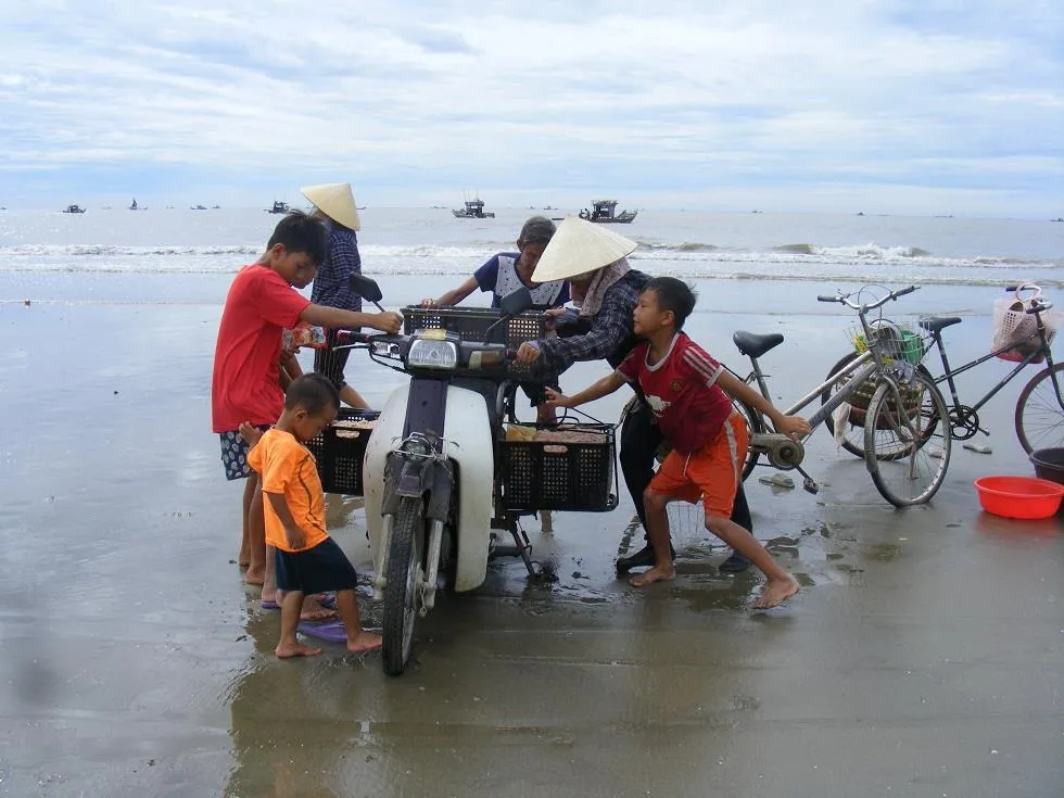 Được mùa ruốc biển ảnh 6