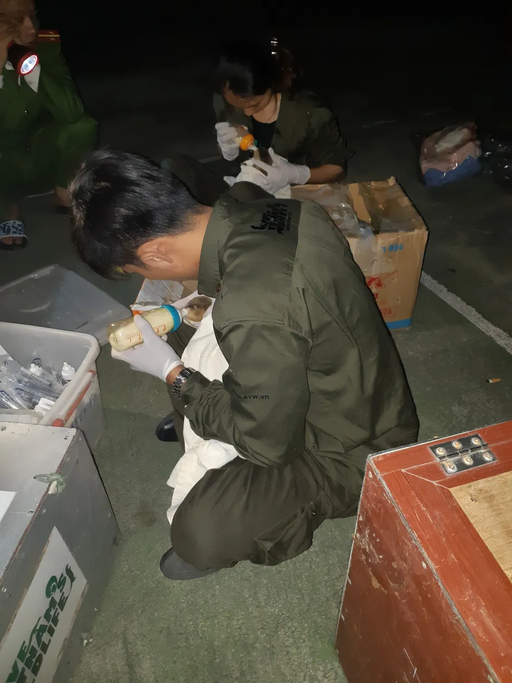 Cứu hộ thành công 15 cá thể rái cá quý hiếm ảnh 2