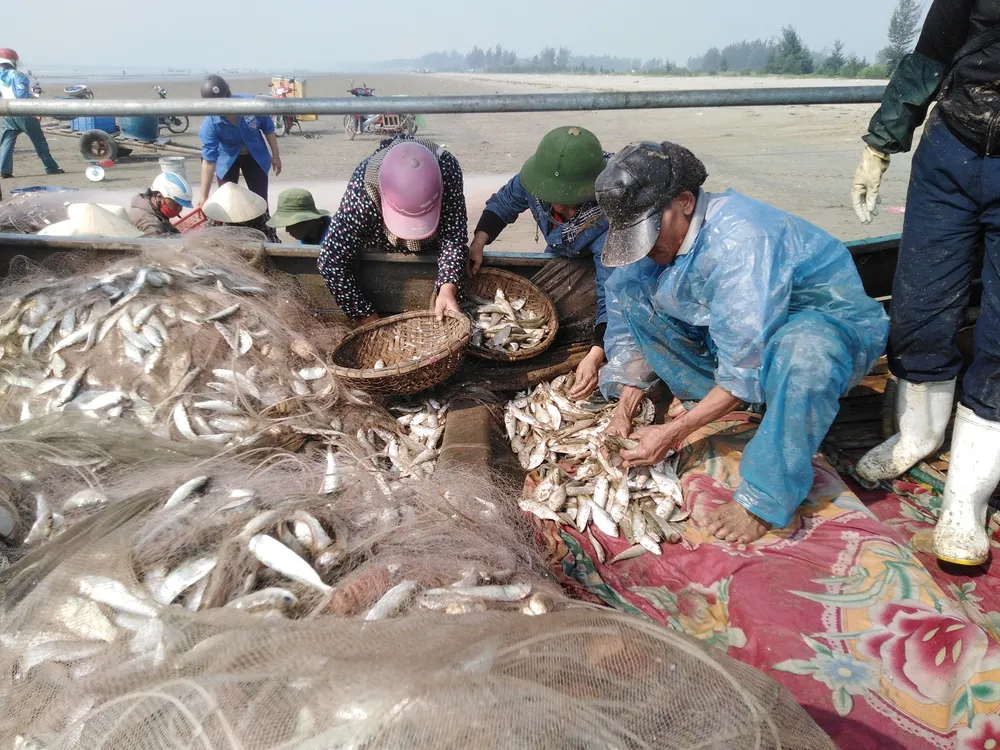 Nhịp mưu sinh dần trở lại nơi làng biển ảnh 1