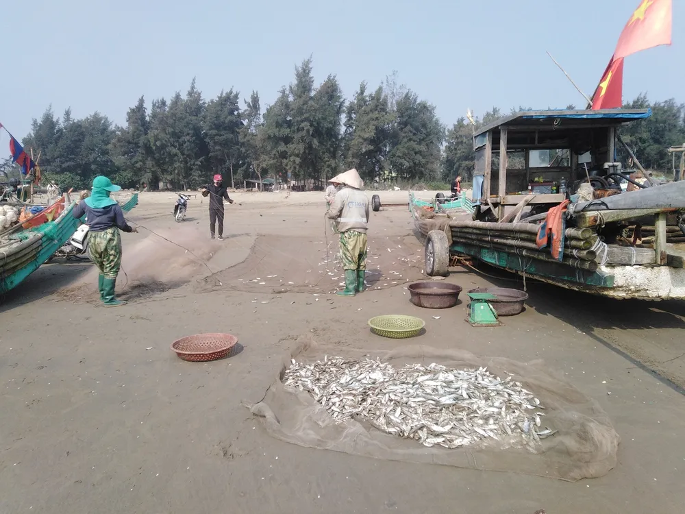 Ngư dân Thanh Hóa “mở cửa biển”, ra khơi đánh bắt đầu năm ảnh 4