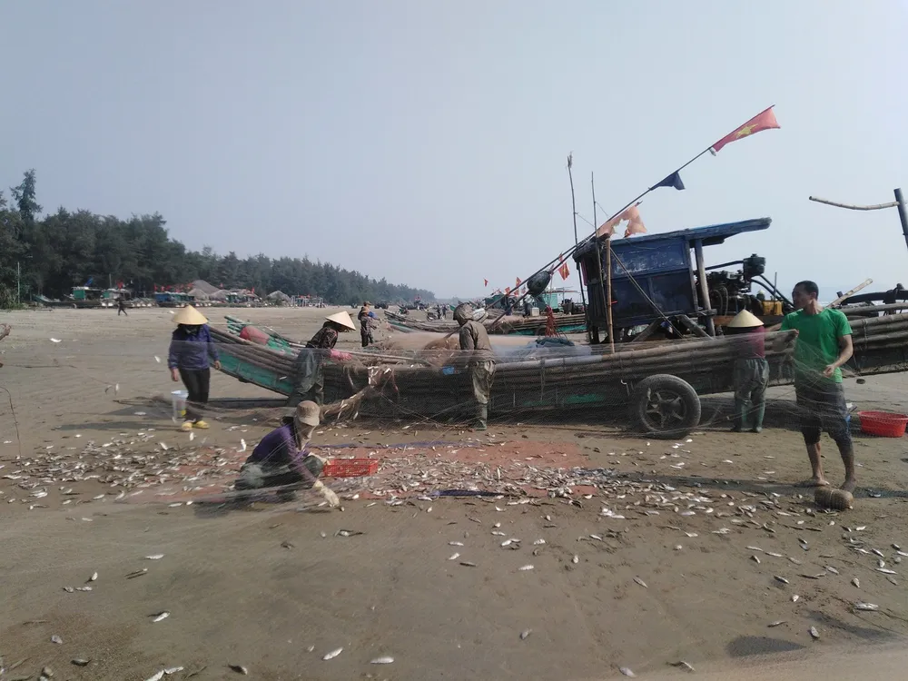 Ngư dân Thanh Hóa “mở cửa biển”, ra khơi đánh bắt đầu năm ảnh 5