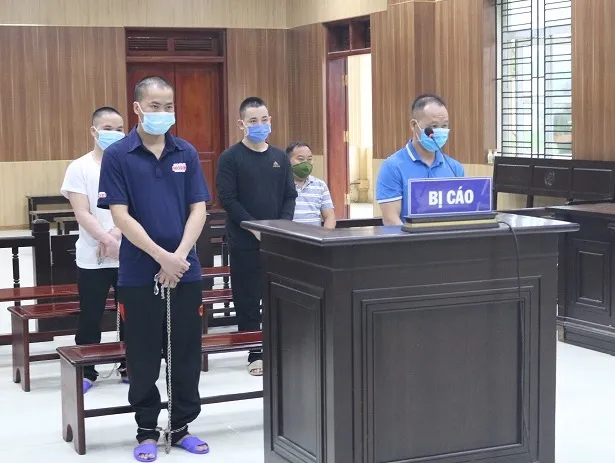 4 bị cáo (đứng) tại tòa. Ảnh: L.N.