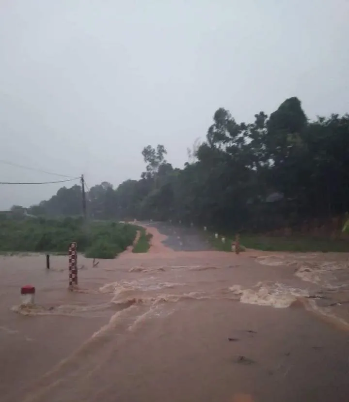 Nghệ An: Mưa lớn gây chia cắt, ngập lụt cục bộ ảnh 2