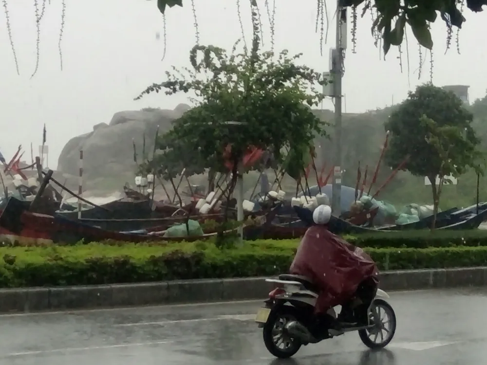 Thanh Hóa: Áp thấp nhiệt đới gây mưa lớn, sẵn sàng sơ tán dân ảnh 4