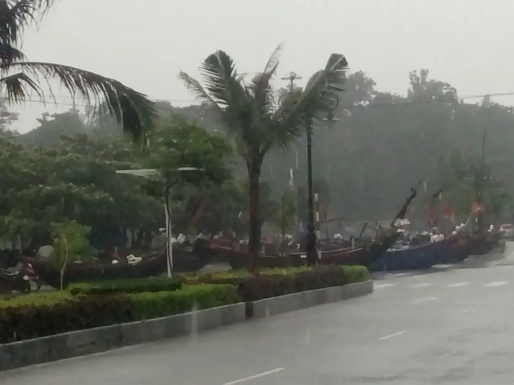 Thanh Hóa: Áp thấp nhiệt đới gây mưa lớn, sẵn sàng sơ tán dân ảnh 5