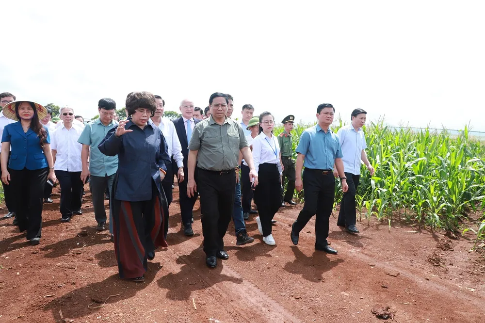 Thủ tướng Chính phủ Phạm Minh Chính thăm và làm việc tại Nghệ An ảnh 5