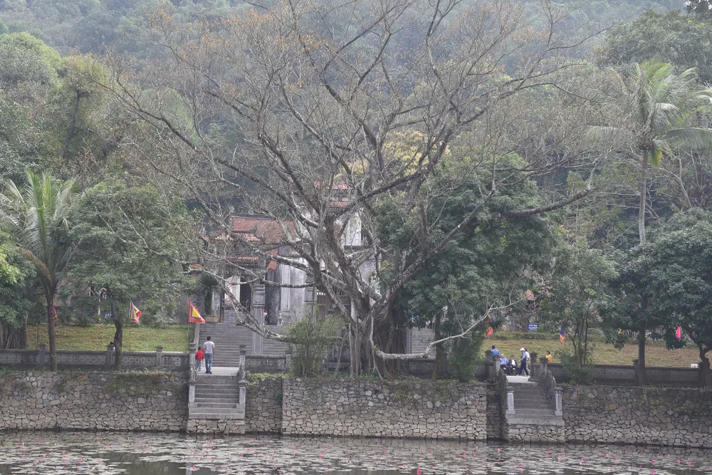 Hồ nước giao hòa cùng cây rừng