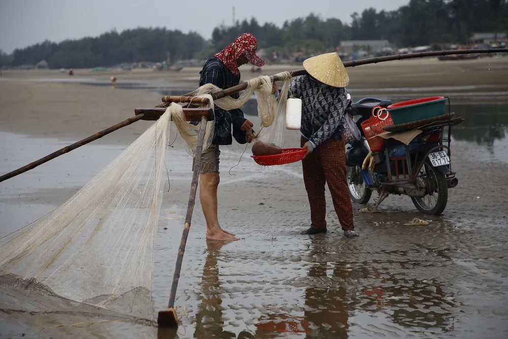 Moi được bán ngay trên bãi biển cho một thương lái
