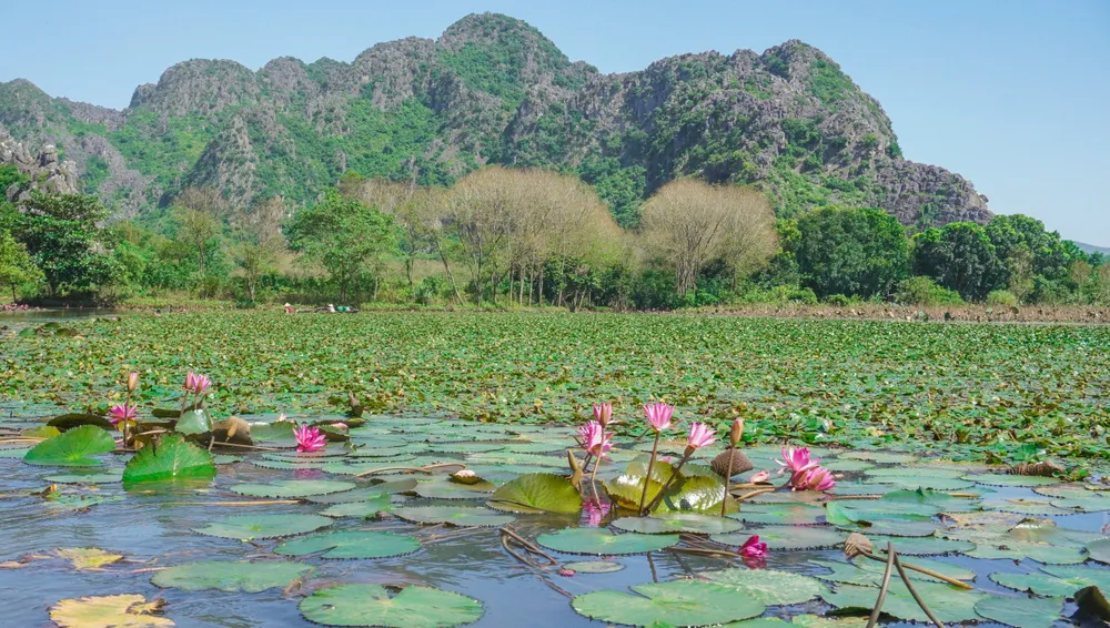 Vẻ đẹp hoang dã của danh thắng Kim Sơn