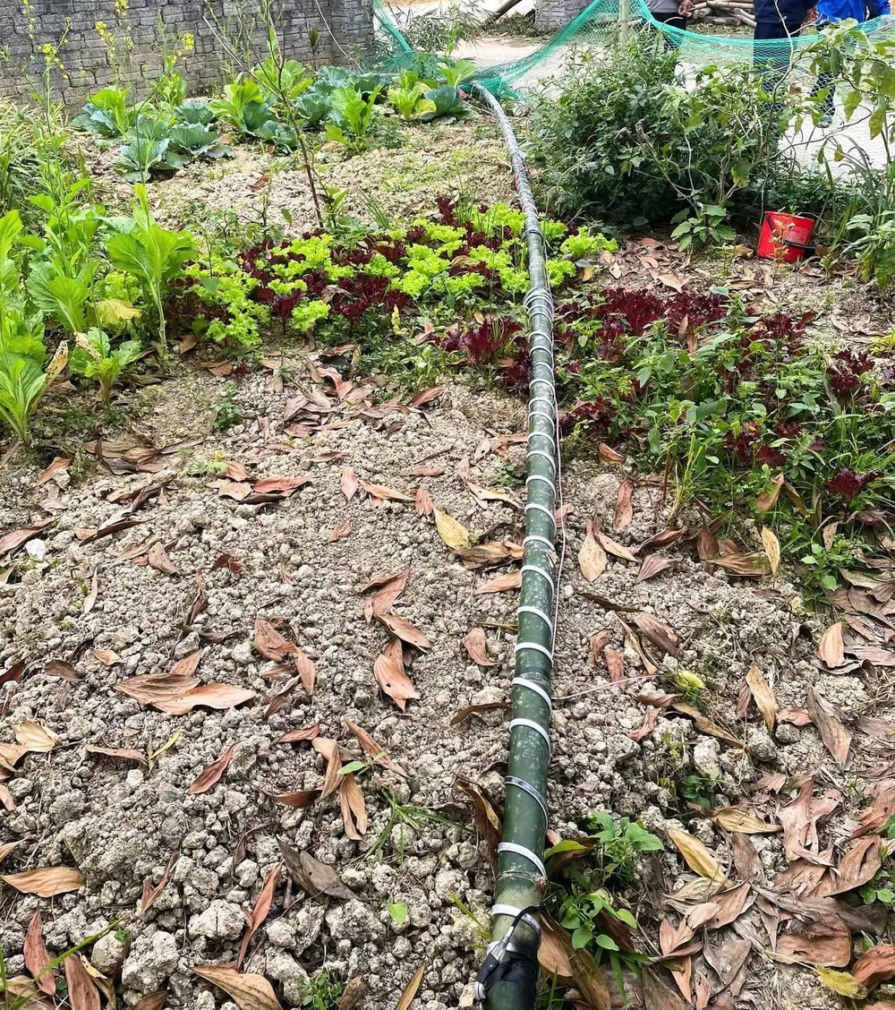 hiện trường.jpg