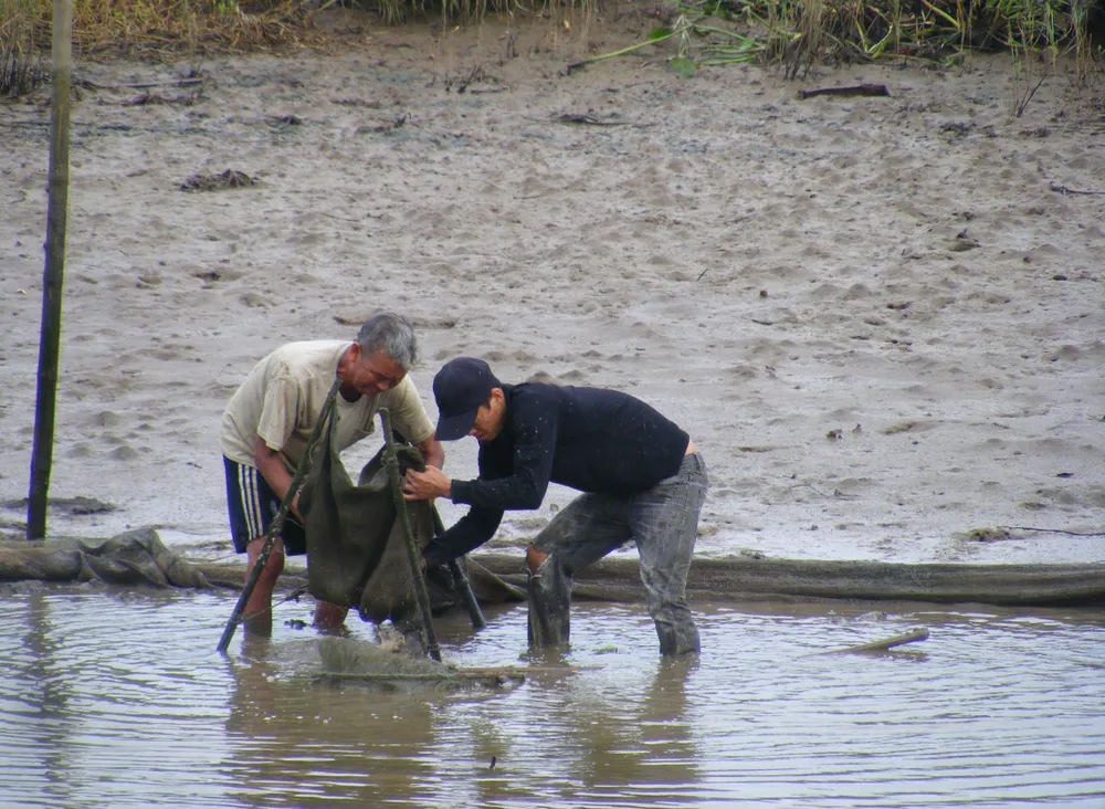 ảnh rừng ngập mặn.6.jpg